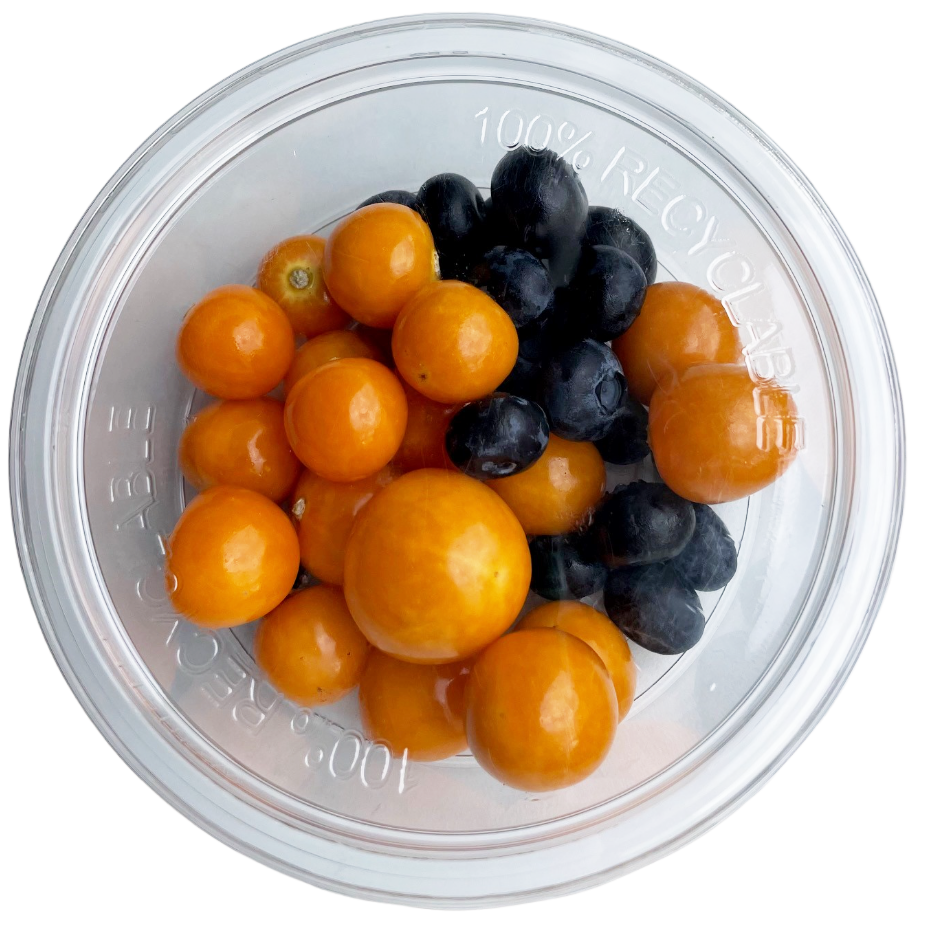 Titbit Ovocná svačinka physalis/borůvky, balení